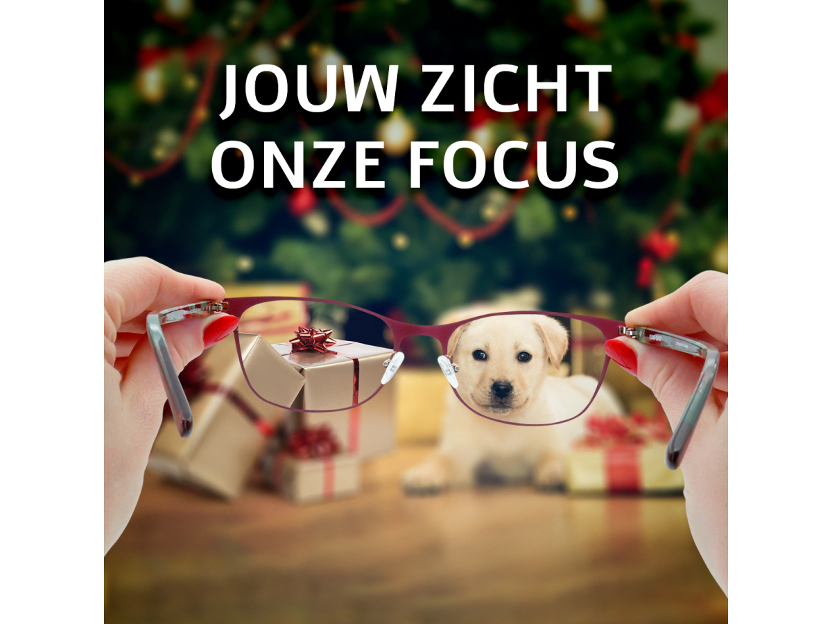 jouw zicht onze focus, optiek vivantia kerstbeeld met een schattig hondje onder een kerstboom door een bril bekeken